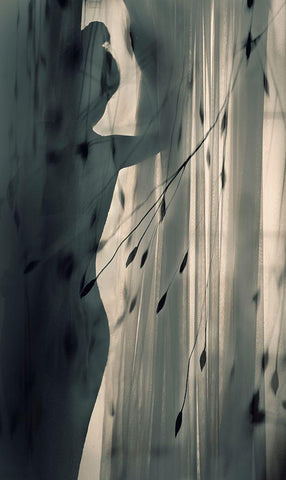 uncertain Black Ornate Wood Framed Art Print with Double Matting by Karami, Sahar