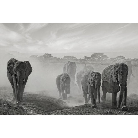 Sequence of emotion Black Modern Wood Framed Art Print with Double Matting by Guillemot, Mathilde