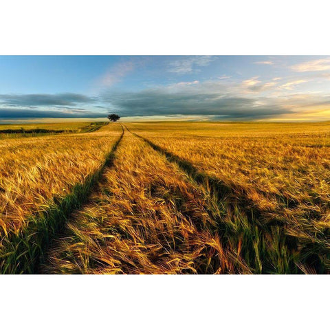 Countryside Black Modern Wood Framed Art Print with Double Matting by Krol (Bax), Piotr