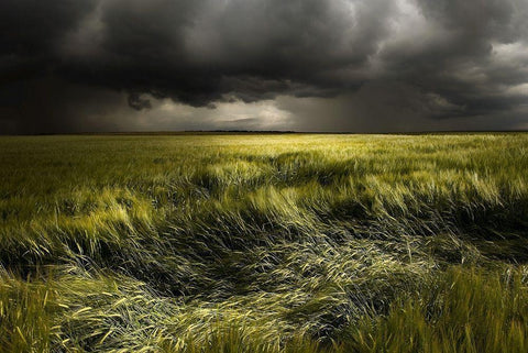 summer Weather Black Ornate Wood Framed Art Print with Double Matting by Schumacher, Nicolas