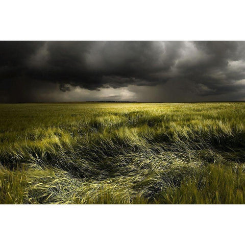 summer Weather Gold Ornate Wood Framed Art Print with Double Matting by Schumacher, Nicolas