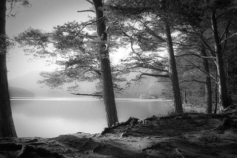 Loch an Eilein White Modern Wood Framed Art Print with Double Matting by Fuhg, Dorit