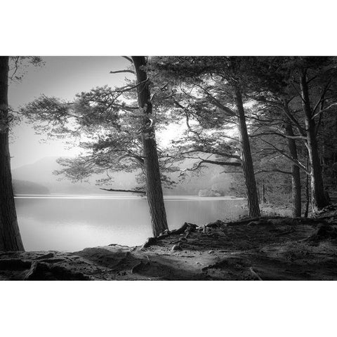 Loch an Eilein Black Modern Wood Framed Art Print with Double Matting by Fuhg, Dorit