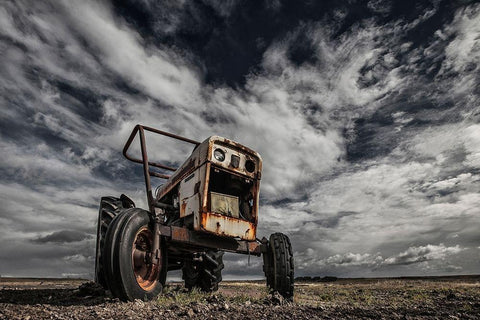 The Scream Black Ornate Wood Framed Art Print with Double Matting by Ingibergsson, Bragi