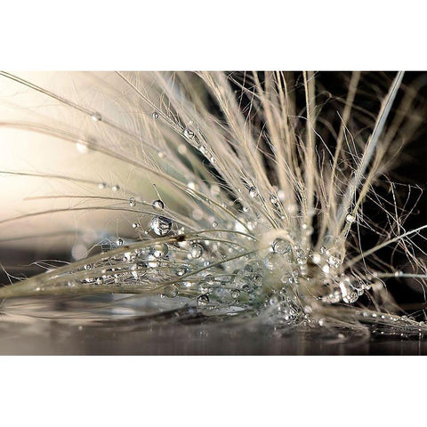 Pearls Gold Ornate Wood Framed Art Print with Double Matting by Zahirimehr, Maryam