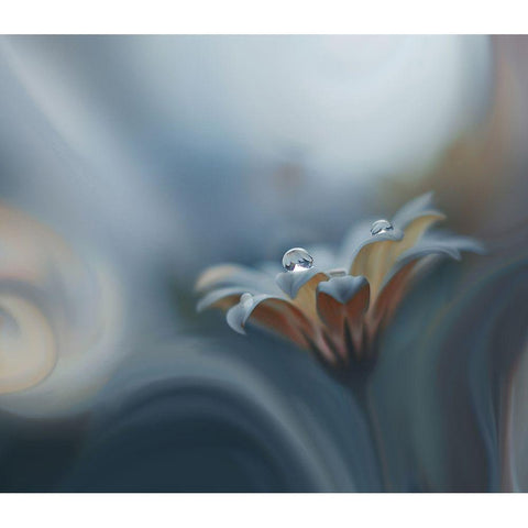 Infinite longing Black Modern Wood Framed Art Print by Nan, Juliana