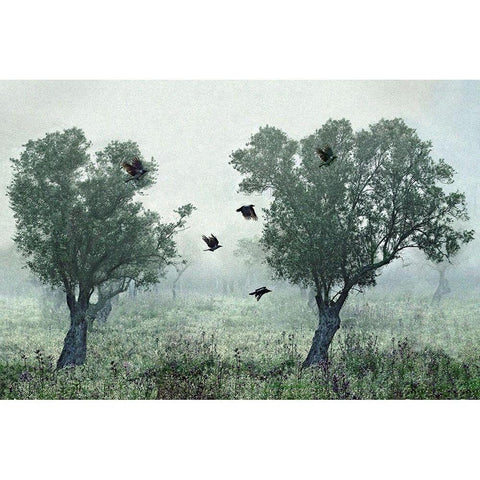 Crows in the mist Black Modern Wood Framed Art Print with Double Matting by Amer, S.