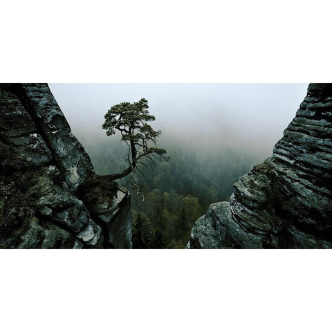 L Gold Ornate Wood Framed Art Print with Double Matting by Schott, Andreas