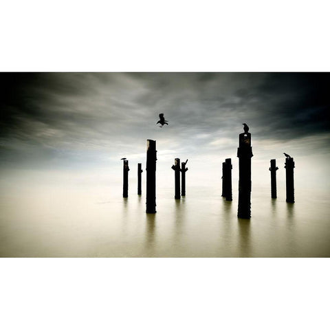 The Sentinels White Modern Wood Framed Art Print by Dias, Paulo