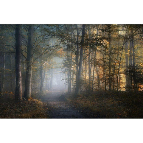 autumn symphony Black Modern Wood Framed Art Print by Maier, Norbert