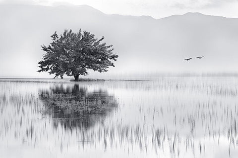 Spring Mirror White Modern Wood Framed Art Print with Double Matting by Kaimaki, Maria