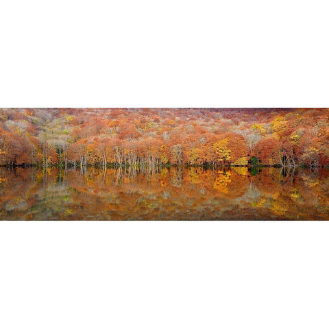 glowing autumn Gold Ornate Wood Framed Art Print with Double Matting by Shibata, Sho