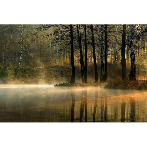 Silent light. Gold Ornate Wood Framed Art Print with Double Matting by Jankowska, Agnieszka