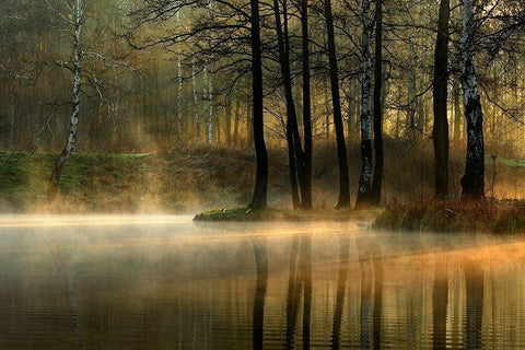 Silent light. Black Ornate Wood Framed Art Print with Double Matting by Jankowska, Agnieszka