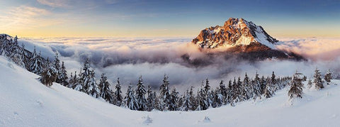 Golden Peak Black Ornate Wood Framed Art Print with Double Matting by Sereda, Tomas