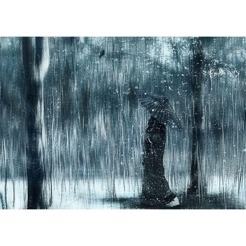 Snowfall Black Modern Wood Framed Art Print with Double Matting by Melik-Nubarova, Svetlana