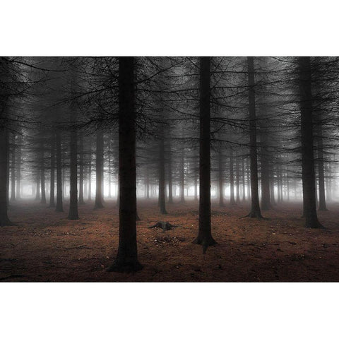 Silence Black Modern Wood Framed Art Print by Petrovic, Dragisa