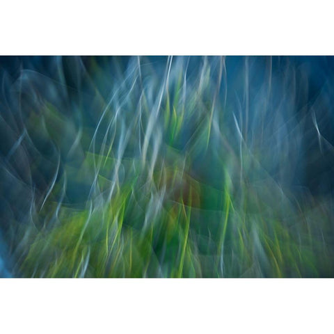 Electro-Shock Blues Black Modern Wood Framed Art Print with Double Matting by Abrantes, Paulo