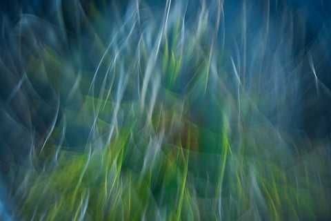 Electro-Shock Blues White Modern Wood Framed Art Print with Double Matting by Abrantes, Paulo