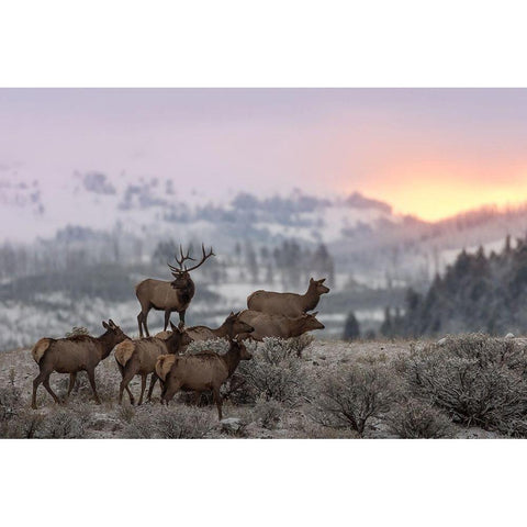 First Light Black Modern Wood Framed Art Print with Double Matting by Kalathas, Nick