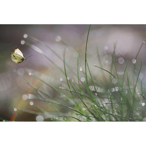 Imminent Landing Gold Ornate Wood Framed Art Print with Double Matting by Cseresnjes, Anna