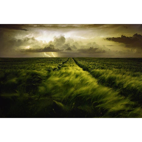 Journey to the Fierce Storm Black Modern Wood Framed Art Print with Double Matting by Buchelova, Sona