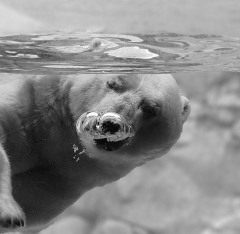 Bubbles White Modern Wood Framed Art Print with Double Matting by Tjandra, C.S.