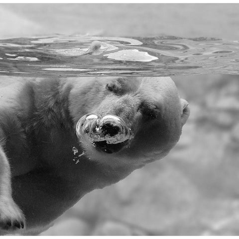 Bubbles Black Modern Wood Framed Art Print with Double Matting by Tjandra, C.S.