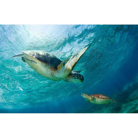 Contact White Modern Wood Framed Art Print by Narchuk, Andrey