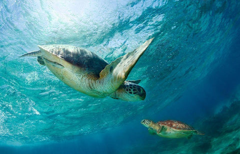 Contact White Modern Wood Framed Art Print with Double Matting by Narchuk, Andrey