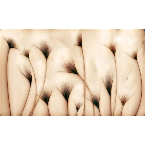 vaginae terram White Modern Wood Framed Art Print by Perez Vazquez, Carlos