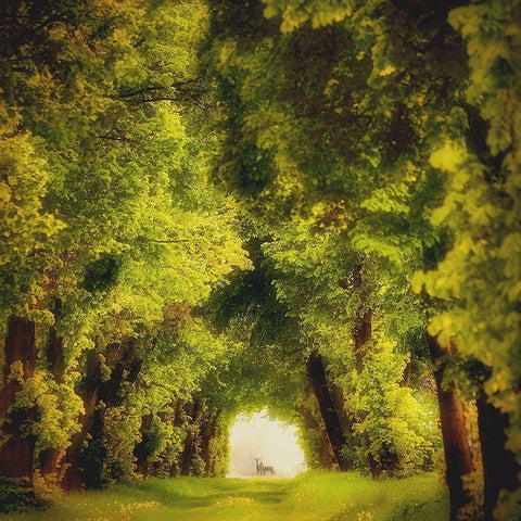 spring time Gold Ornate Wood Framed Art Print with Double Matting by Krol (Bax), Piotr