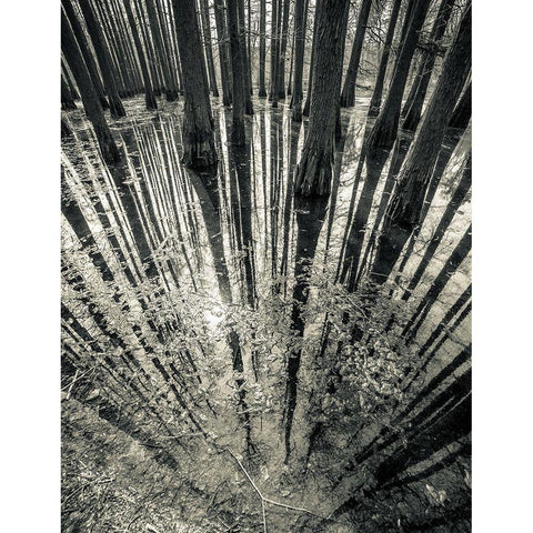 Synchronicity Black Modern Wood Framed Art Print with Double Matting by Manea, Aurel