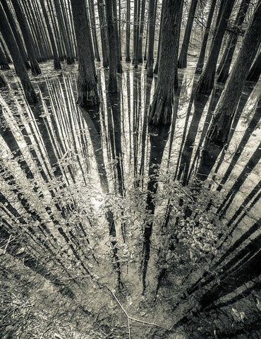 Synchronicity White Modern Wood Framed Art Print with Double Matting by Manea, Aurel