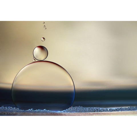 the stragglers Gold Ornate Wood Framed Art Print with Double Matting by Westum, Heidi