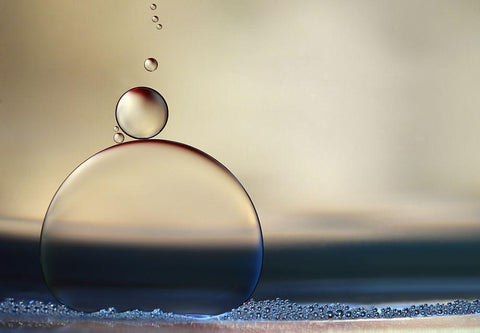 the stragglers Black Ornate Wood Framed Art Print with Double Matting by Westum, Heidi