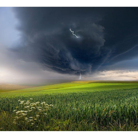 June storm Black Modern Wood Framed Art Print with Double Matting by Schumacher, Nicolas