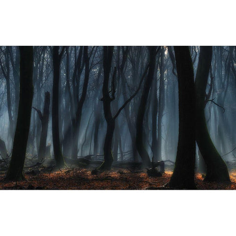 Dancing trees White Modern Wood Framed Art Print by Paul Kraaij, Jan