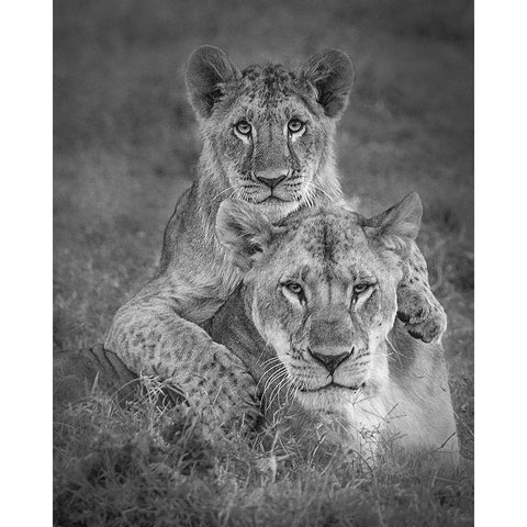 Playtime with Mama! Gold Ornate Wood Framed Art Print with Double Matting by Khataw, Ali