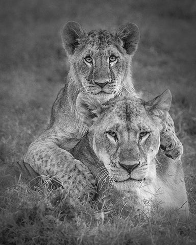 Playtime with Mama! Black Ornate Wood Framed Art Print with Double Matting by Khataw, Ali