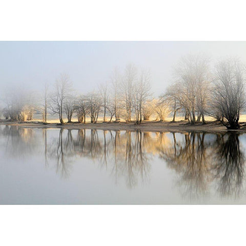 january morning White Modern Wood Framed Art Print by Bor