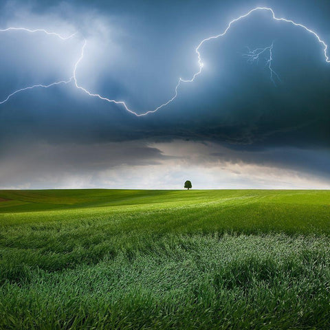 Someplace in Summer Gold Ornate Wood Framed Art Print with Double Matting by Schumacher, Nicolas