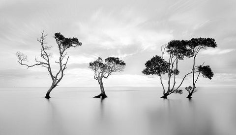 Drowning Not Waving White Modern Wood Framed Art Print with Double Matting by Fudge, Steven