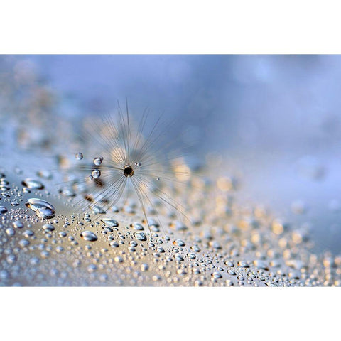 Crawling down White Modern Wood Framed Art Print by Westum, Heidi