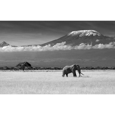 Lost Colors II Black Modern Wood Framed Art Print by Canakci, Ibrahim