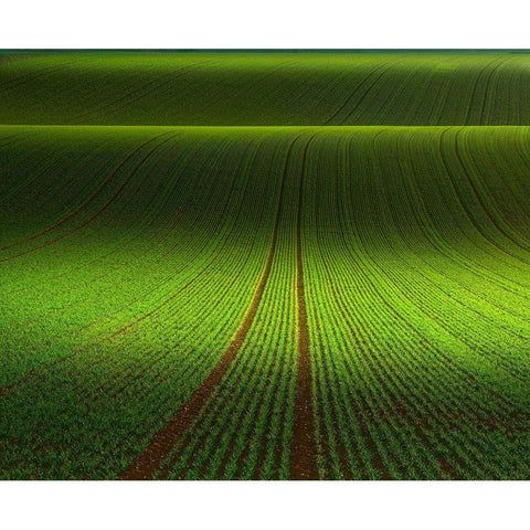 November Green Black Modern Wood Framed Art Print by Schumacher, Nicolas