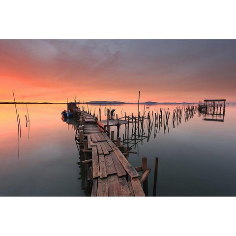 The last Light White Modern Wood Framed Art Print by Roxo, Alvaro