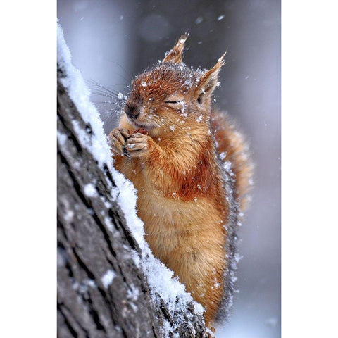 winter Black Modern Wood Framed Art Print with Double Matting by Kobakci, Ervin