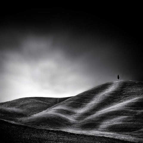 la vie reprendra au printemps Black Modern Wood Framed Art Print by Flour, Piet