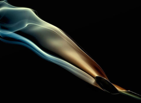 Silk Black Ornate Wood Framed Art Print with Double Matting by Ianeva, Aida